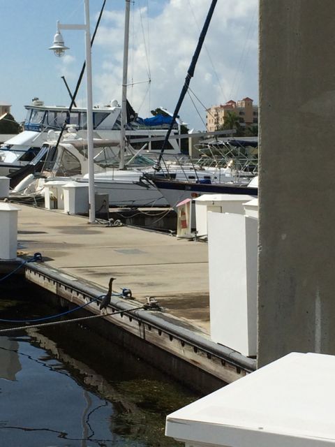 Little fellow with neck stretched out