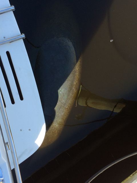 Manatee nuzzling the boat