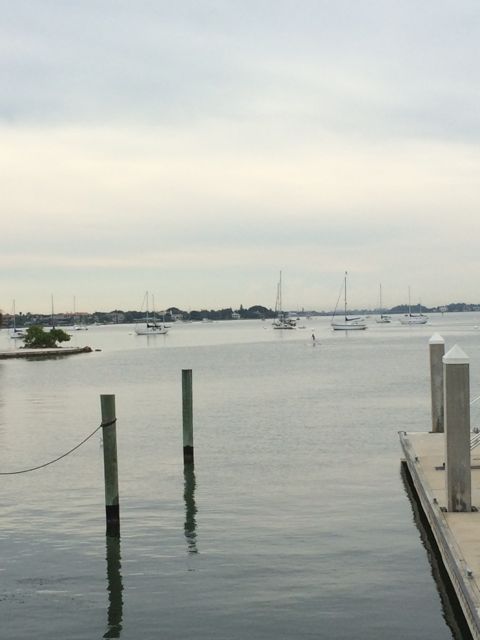 mooring field- paddler