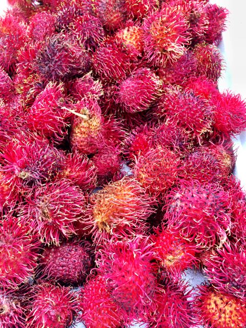 Rambutan