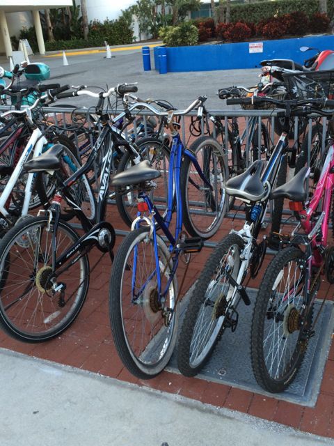 normal array of bikes