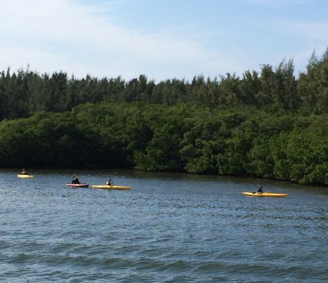 paddlers group 11-58am