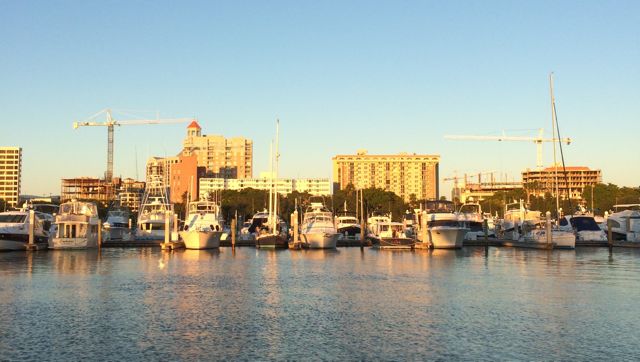 skyline from the park-2