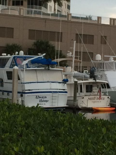 Always Home and Next Dance