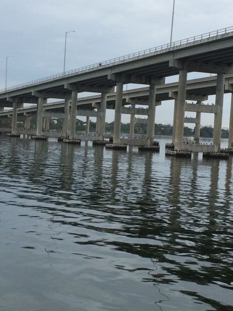 birds on the bridge supports = jan 20 2015 - 218pm - use best one