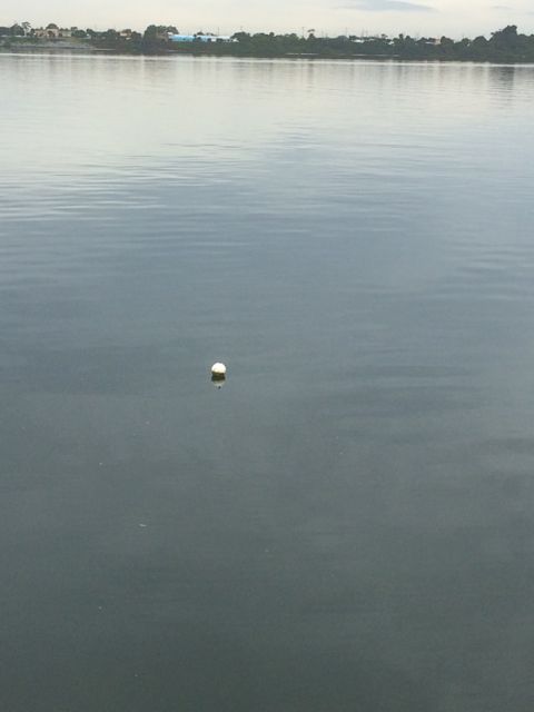 Crab pot... seen along the way Jan 20 2015