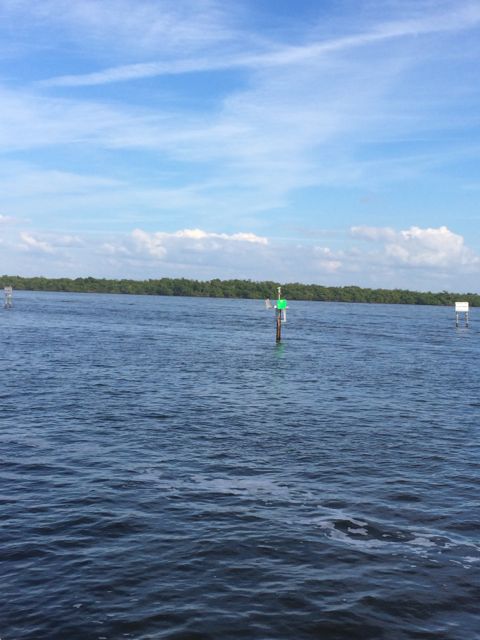 green buoy - 0