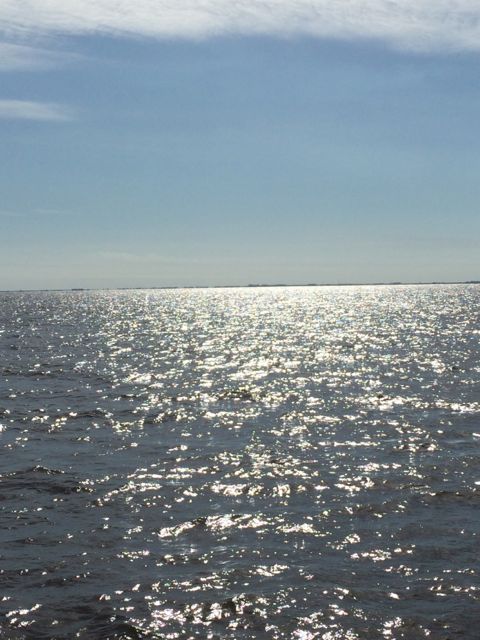 horizon at 11.17 - land