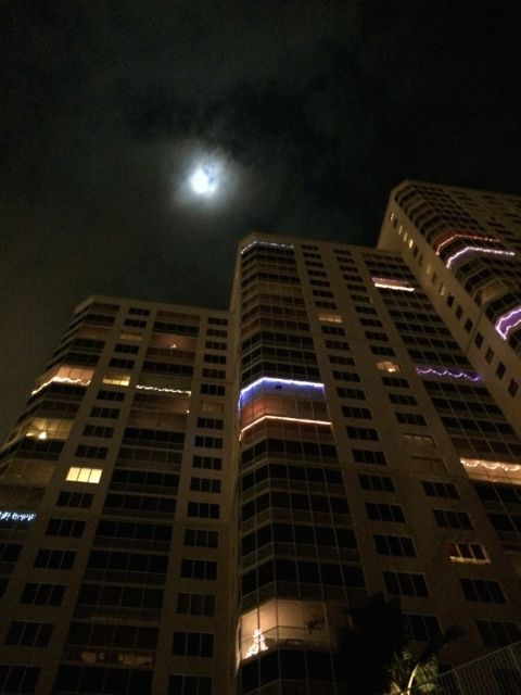 Night view from dock