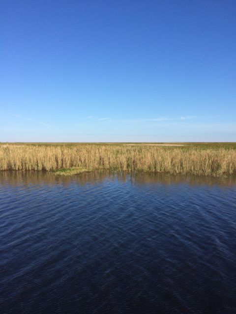 swamp to the left of us 9.58am