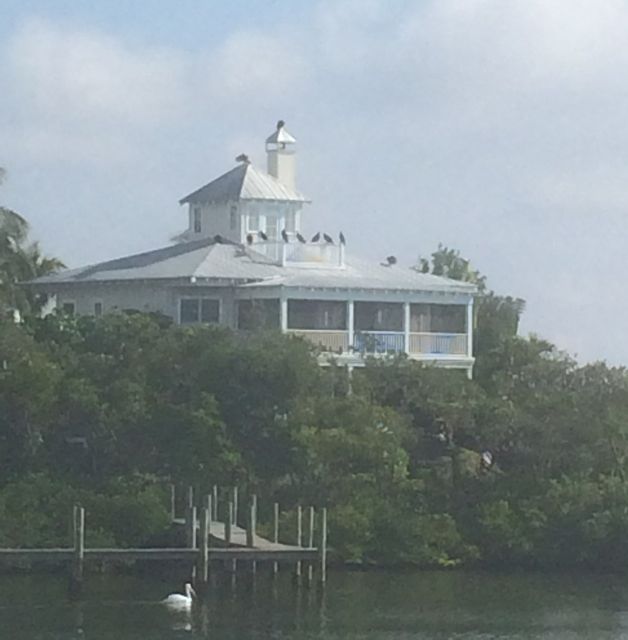 turkey vultures atop a nice house