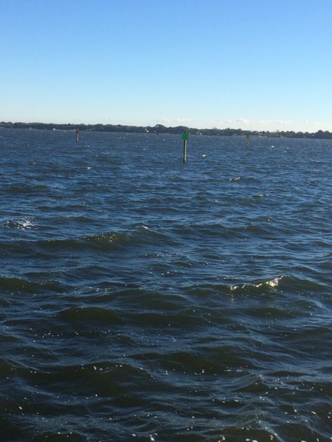 white caps - Jan 28 2015 8.32am