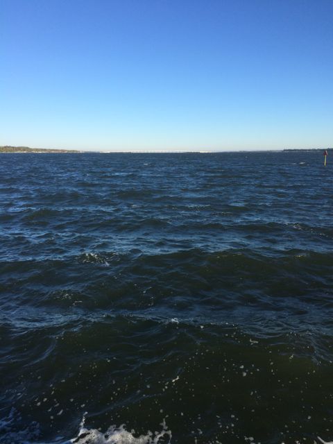 white caps - Jan 28 2015 -Cocoa Village Marina 8.31am