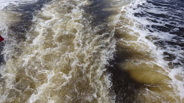 11.42am tannic waters 4-23-15