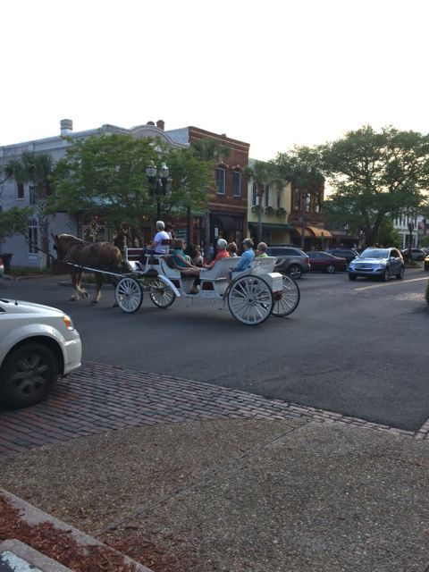 19.00 or 7.00pm horse carriage