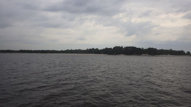 8.59  cumberland island 4-25-15