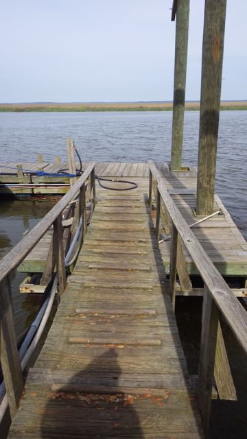 KilKenny rustic ramp - 4.32pm