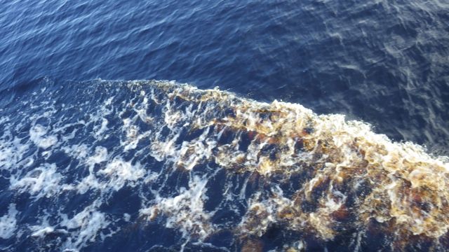 10.02 clear tannin water 5-18-15