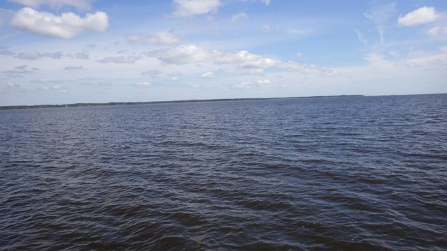 10.26am neuse river 5-15-15