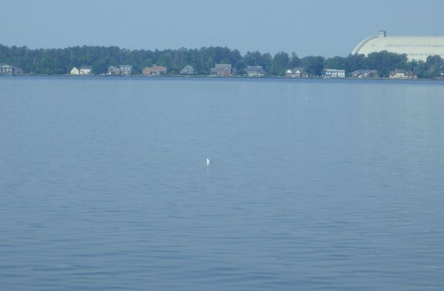 10.35am - crop - not a crab pot - 5-19-15