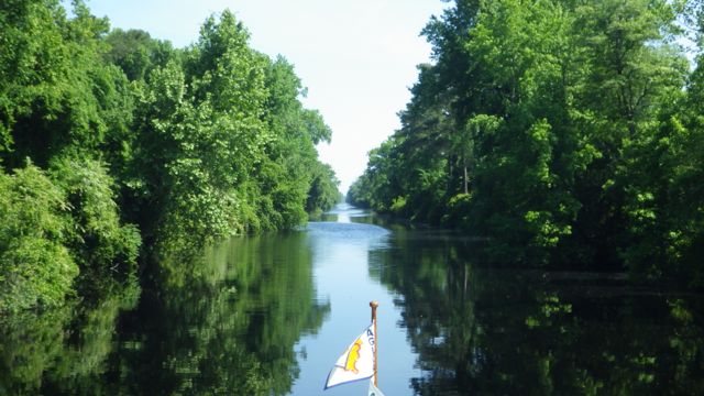 10.37am - pictureque view of Dismal Swamp 5-20-15
