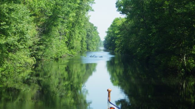 10.57am - tree in the middle - 5-20-15