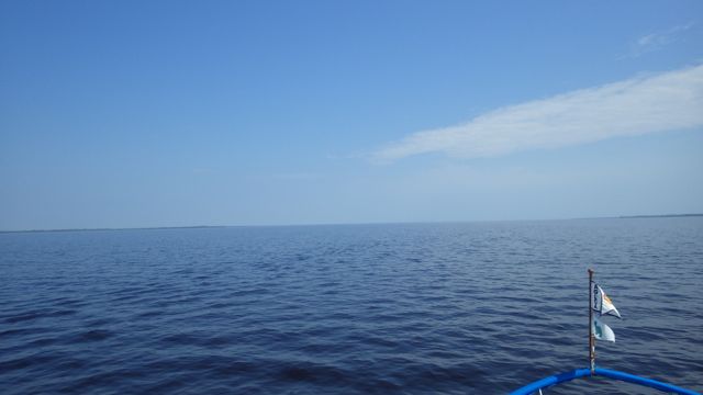 10.59 am turning north up Alligator river 5-18-15