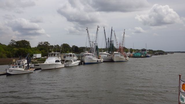 11.10am - shrimp boats all together 5-6-15