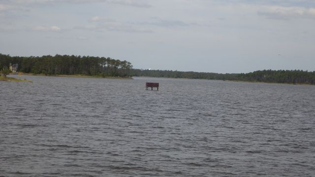 11.12am duck blind?  5-15-15