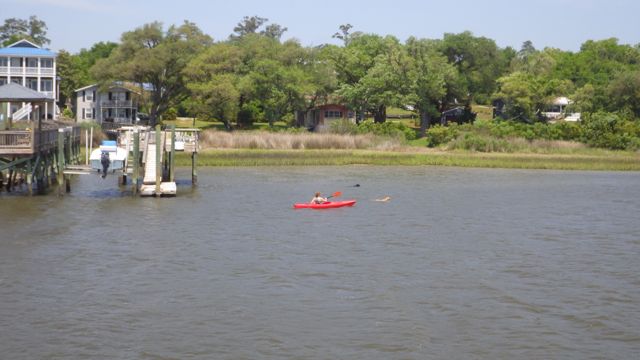 12.13 pm - kayaker and dogs  5-12-15