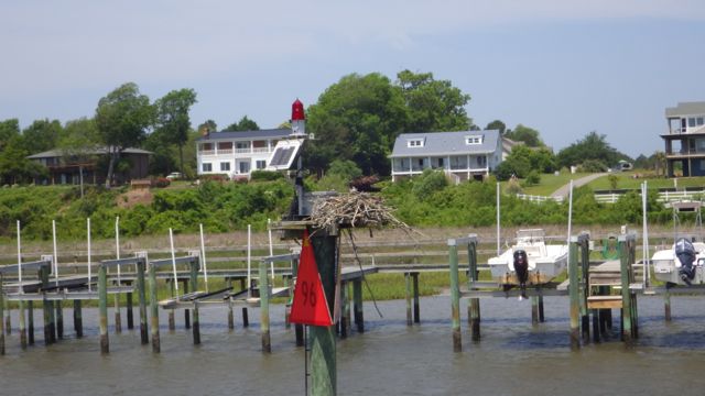 12.19pm osprey nest 5-12-15