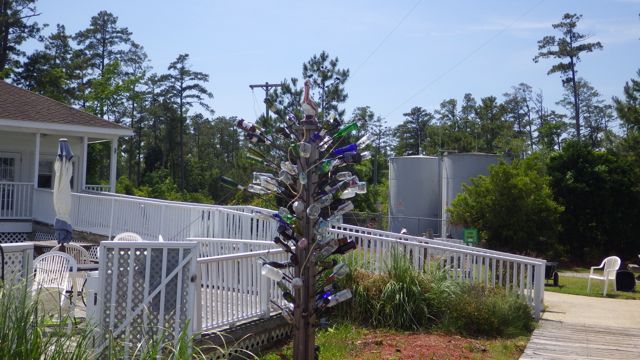 14.23 - 2.23pm - wine tree 5-17-15