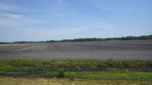 14.56 - 2.56pm - fields - 5-17-15