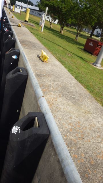 15.33 - 3.33pm - new lock wall - bumpers  5-20-15