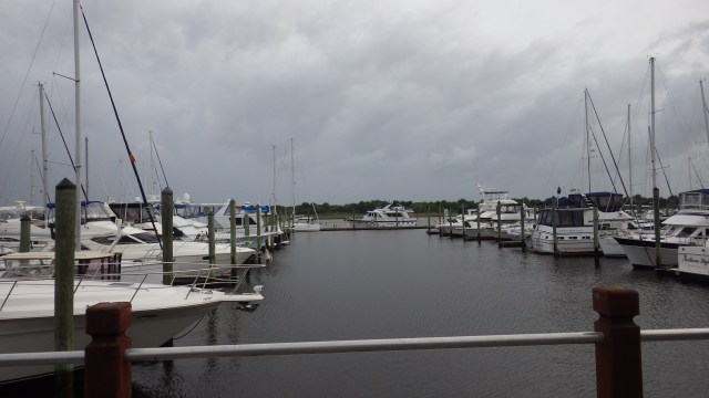 17.39pm - 5.39 dark skies B 5-9-15