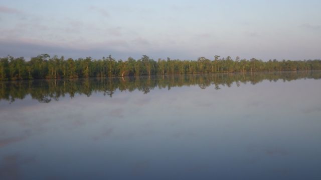 6.29am - water reflections  5-20-15