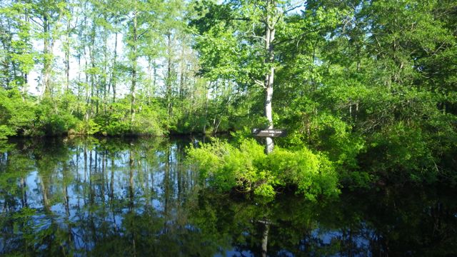 8.24am - South Mills Lock road sign - 5-20-15