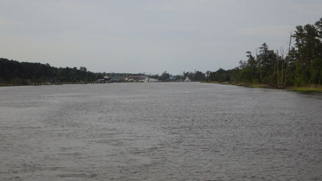 8.28am leaving Jarrett Bay 5-15-15
