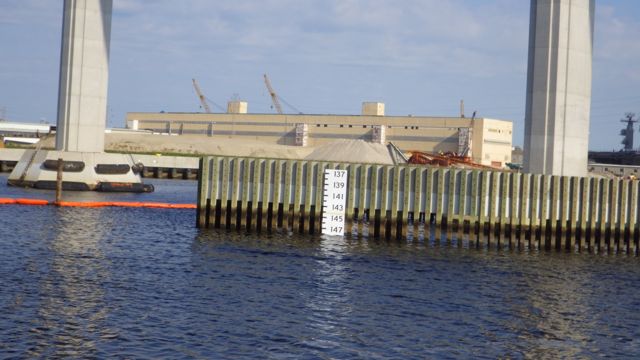 8.29am - 148 ft tall!  5-24-15