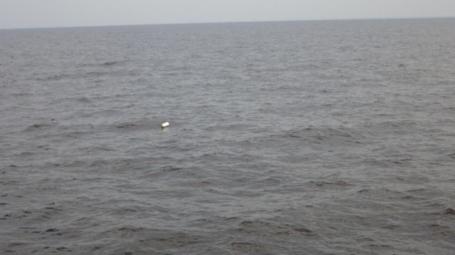 8.47am - white crab pot - 5-19-15