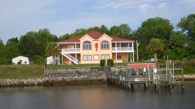 8.53am nice seahorse house 5-15-15