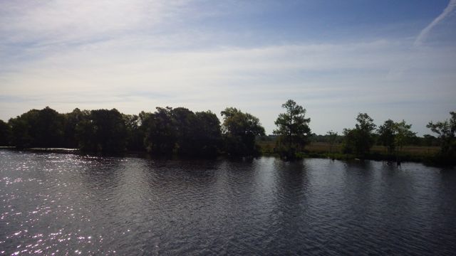 8.53am - trying to get a view of rice fields - 5-5-15