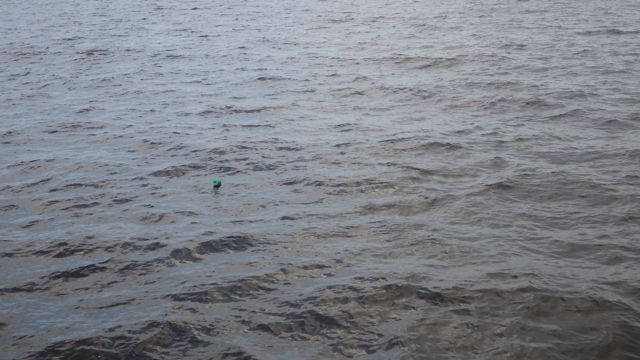 8.58am - green crap pot - 5-19-15