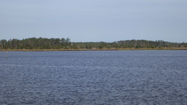9.10am - crab pots - 5-17-15