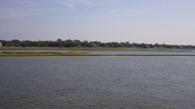 9.28am sunny - marsh - 5-14-15