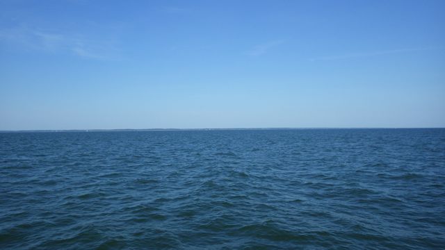 9.46am now in Maryland chesapeake 5-25-15