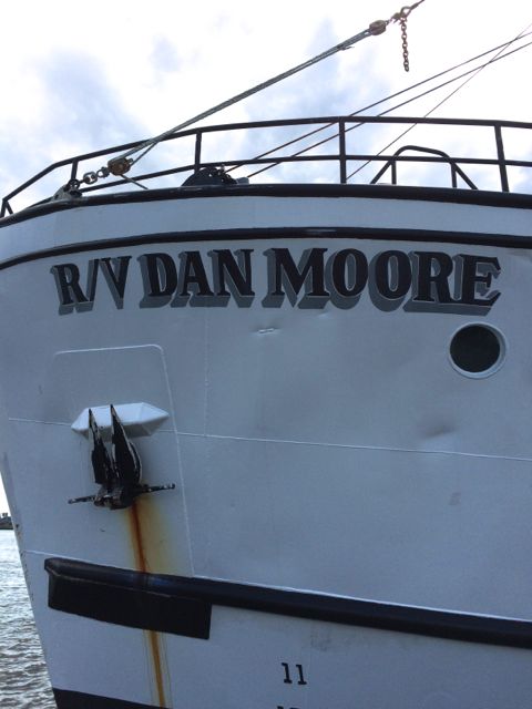 RV Dan Moore - Charleston SC