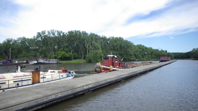 10.36am - tug at the top 6-17-15