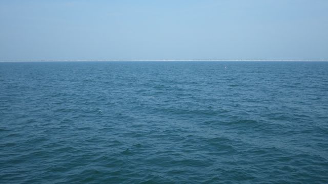 10.52am  daubers in 72 ft of water   6-11-15