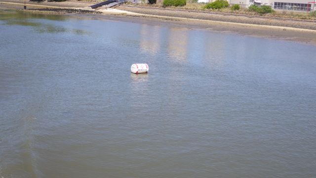 11.31am - obstruction buoy 5-30-15